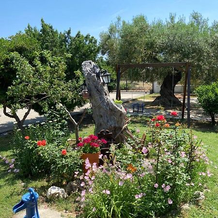 Wine & Olive Studio Геракини Екстериор снимка