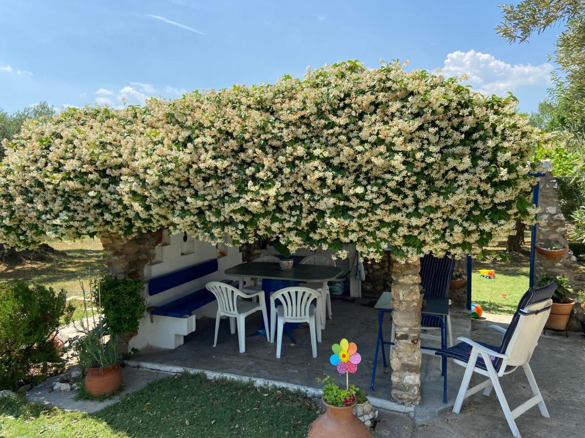Wine & Olive Studio Геракини Екстериор снимка